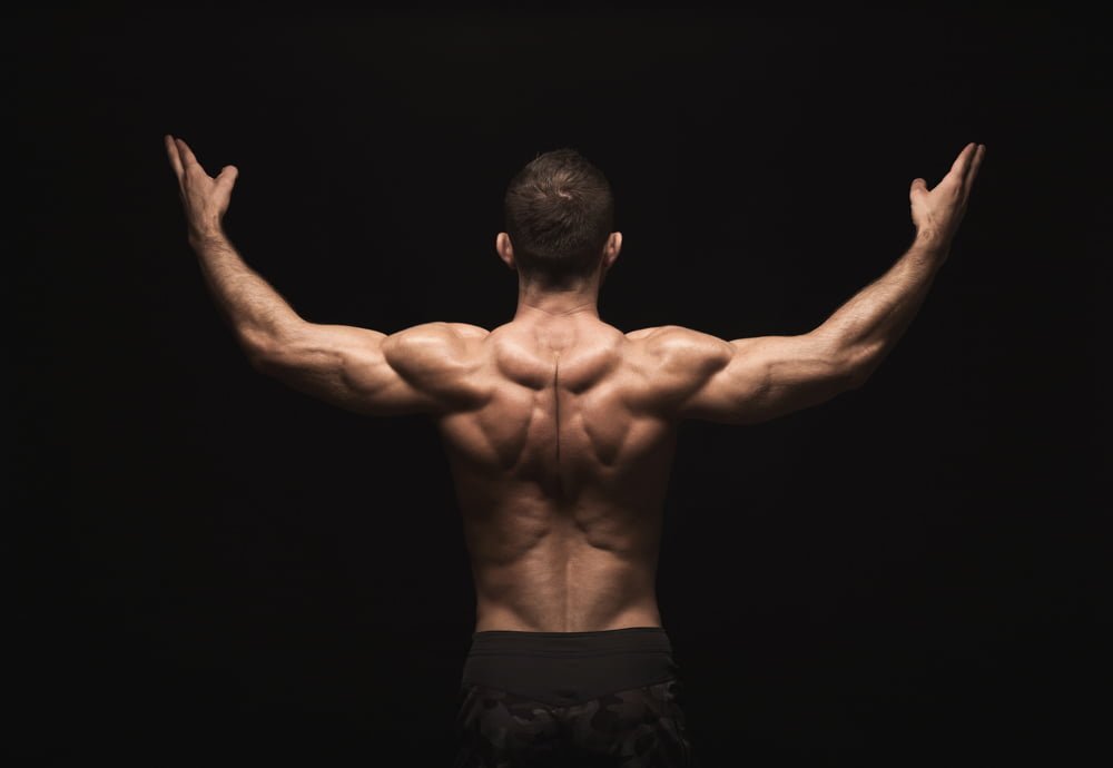 What is the best exercise for building back shoulder muscles? - Ange Dim