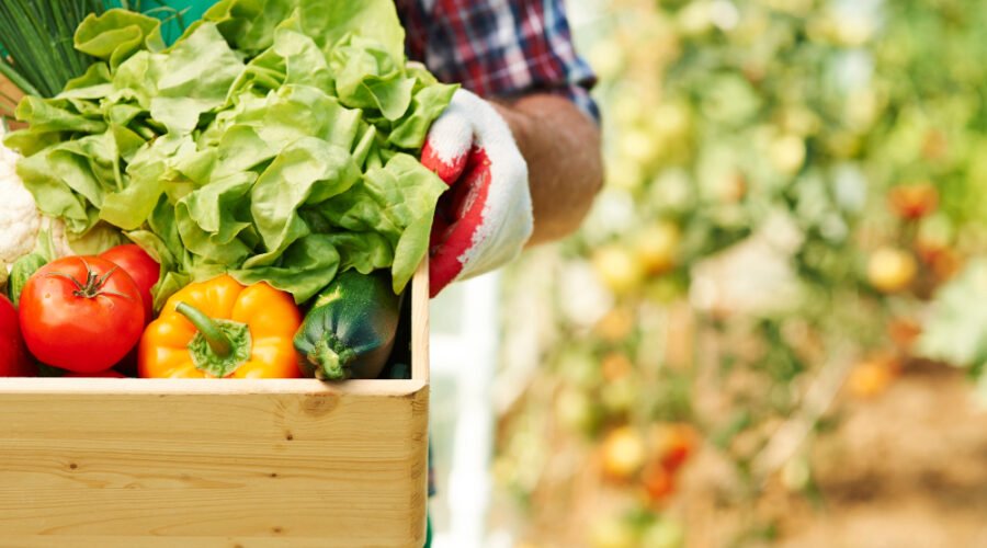 Man carrying a box of freshly picked vegetables