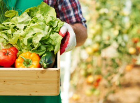 Man carrying a box of freshly picked vegetables