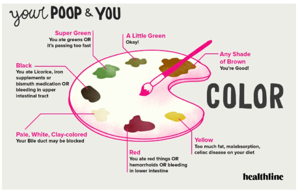 Here is a poop colour chart
