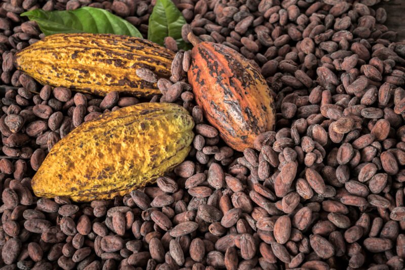 Pure cacao, & cacao in dark chocolate can provide Health, Well-being & Skin Benefits